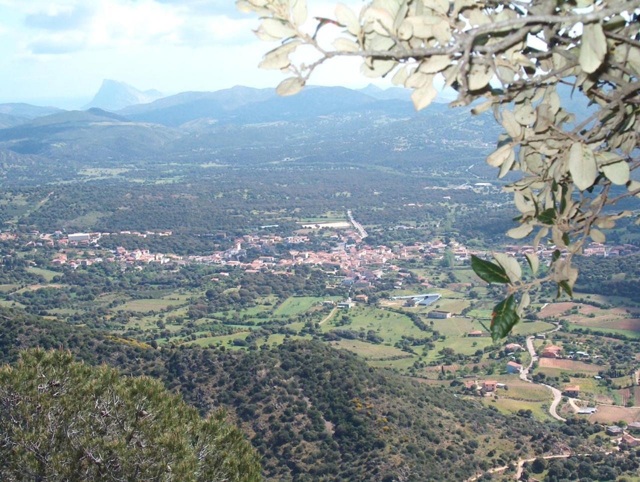 Sa Domo Villa Padru Bagian luar foto